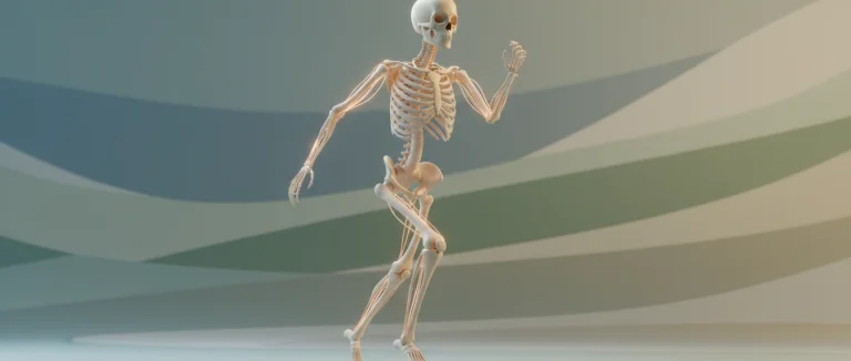 Скелет человека