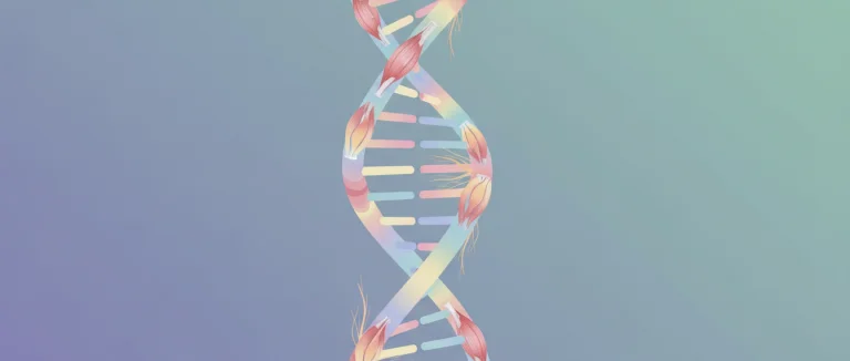 Генетическая мутация, вызывающая мышечные заболевания