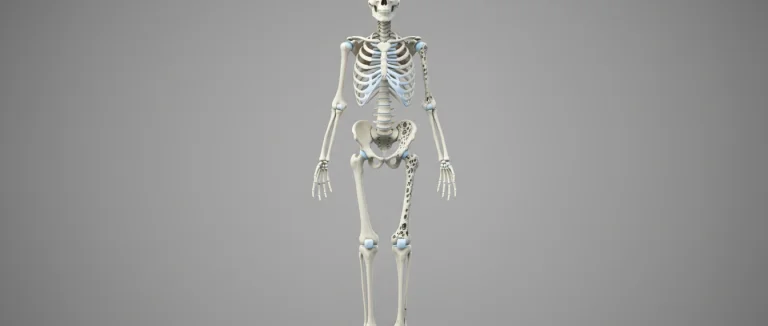 Костная ткань в здоровом состоянии