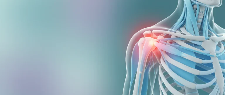 Анатомия плеча с обозначением вращательной манжеты