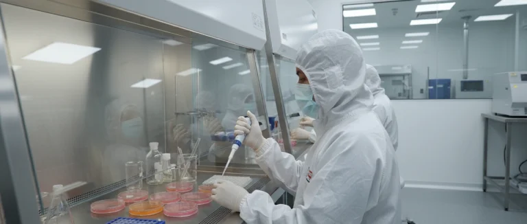 процесс подготовки стволовых клеток в лаборатории