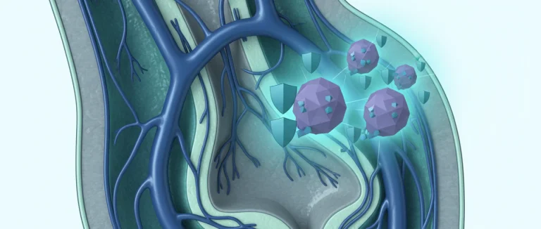 Иллюстрация механизма действия препаратов для эрекции