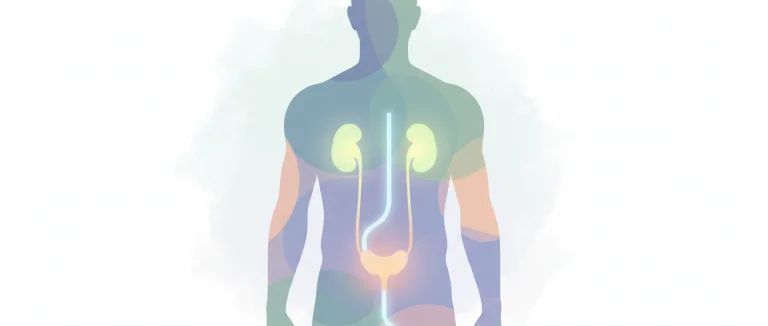 Факторы риска инфекции мочевого пузыря