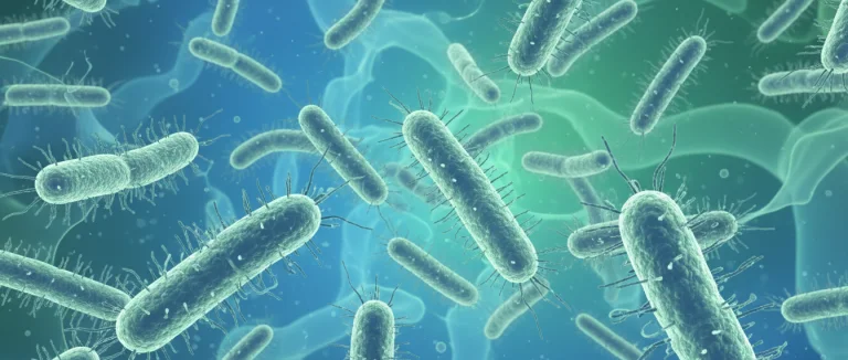 Бактерии, вызывающие инфекцию мочевого пузыря