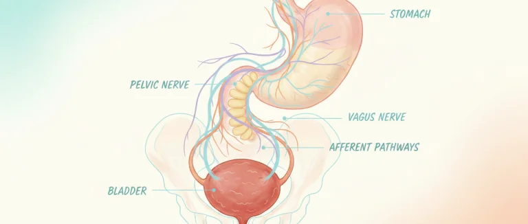 Взаимосвязь воспаления мочевого пузыря и тошноты