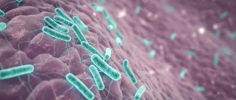 Бактерии, проникающие в мочу