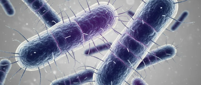 Микроскопическое изображение бактерий, вызывающих ИМП