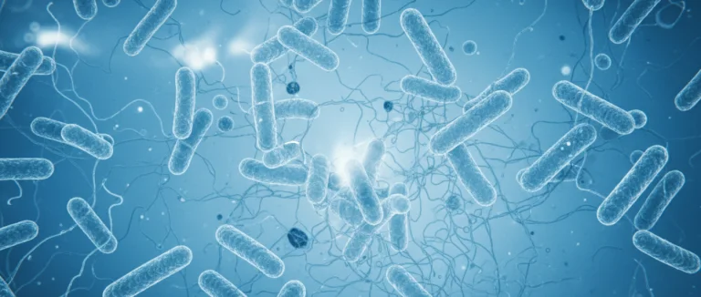 Микроскопическое изображение бактерий Escherichia coli