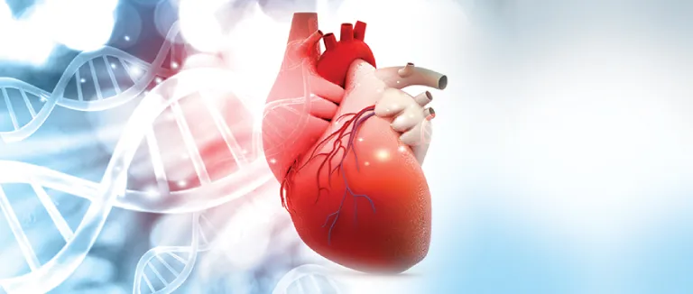 360' Overview of the Heart with Cardiac MRI