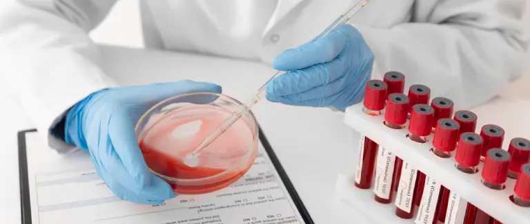 alt yüksekliği nedir?