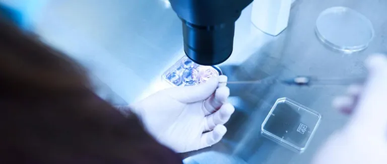 Azospermi Tedavisi Nedir? Tedavisi Ne Kadar Sürer?