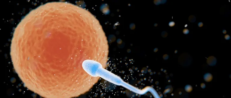 Azospermi Tedavisinden Hangi Testler Uygulanır?