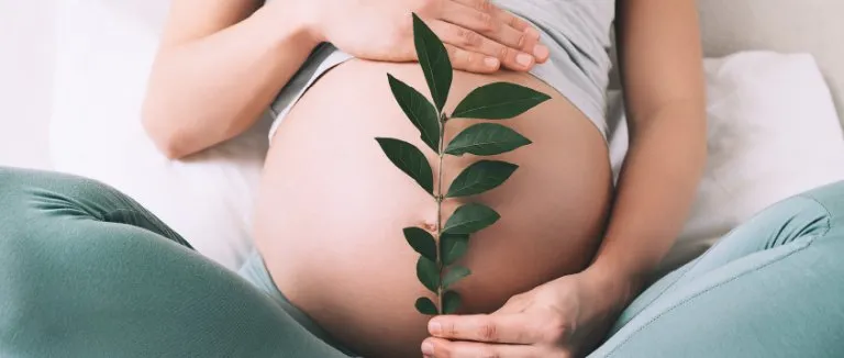 Hamilelikte Damar Tıkanıklığı Belirtileri Nedir?