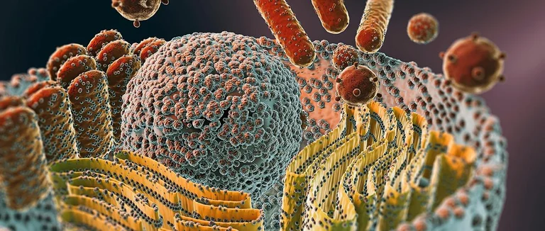 8 faits essentiels sur la néoplasie à cellules plasmatiques, les tumeurs et leur traitement