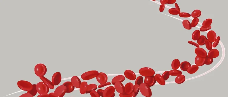 Qu'est-ce que l'Hémoglobine et Quels Sont les Niveaux Normaux?