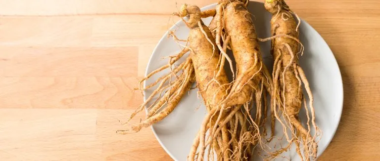 Ginseng Nedir?