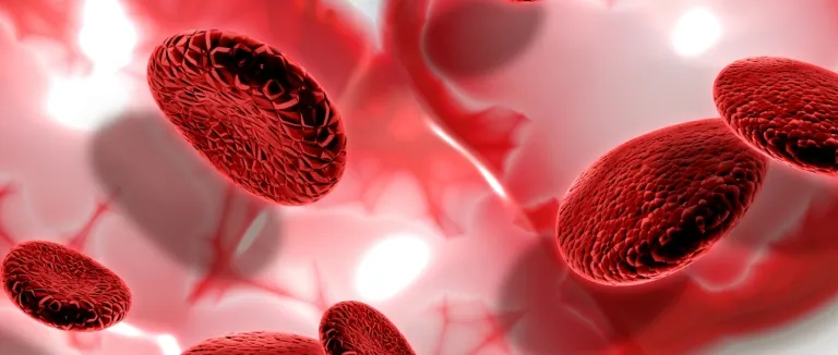 Hemolitik Anemi Geçer Mi?