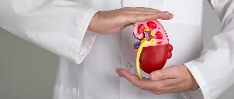 Living with Kidney Cysts