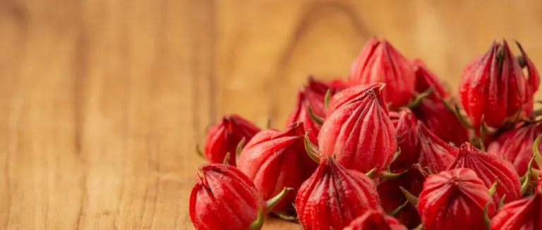 Kudret Narı faydaları