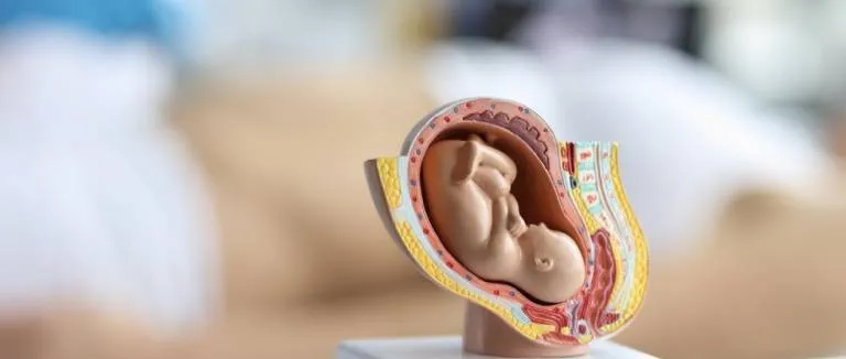 Mol Gebeliği Nedir?