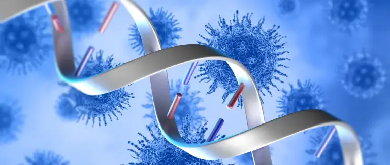 Primer İmmün Yetmezlik (PİY) tedavisi