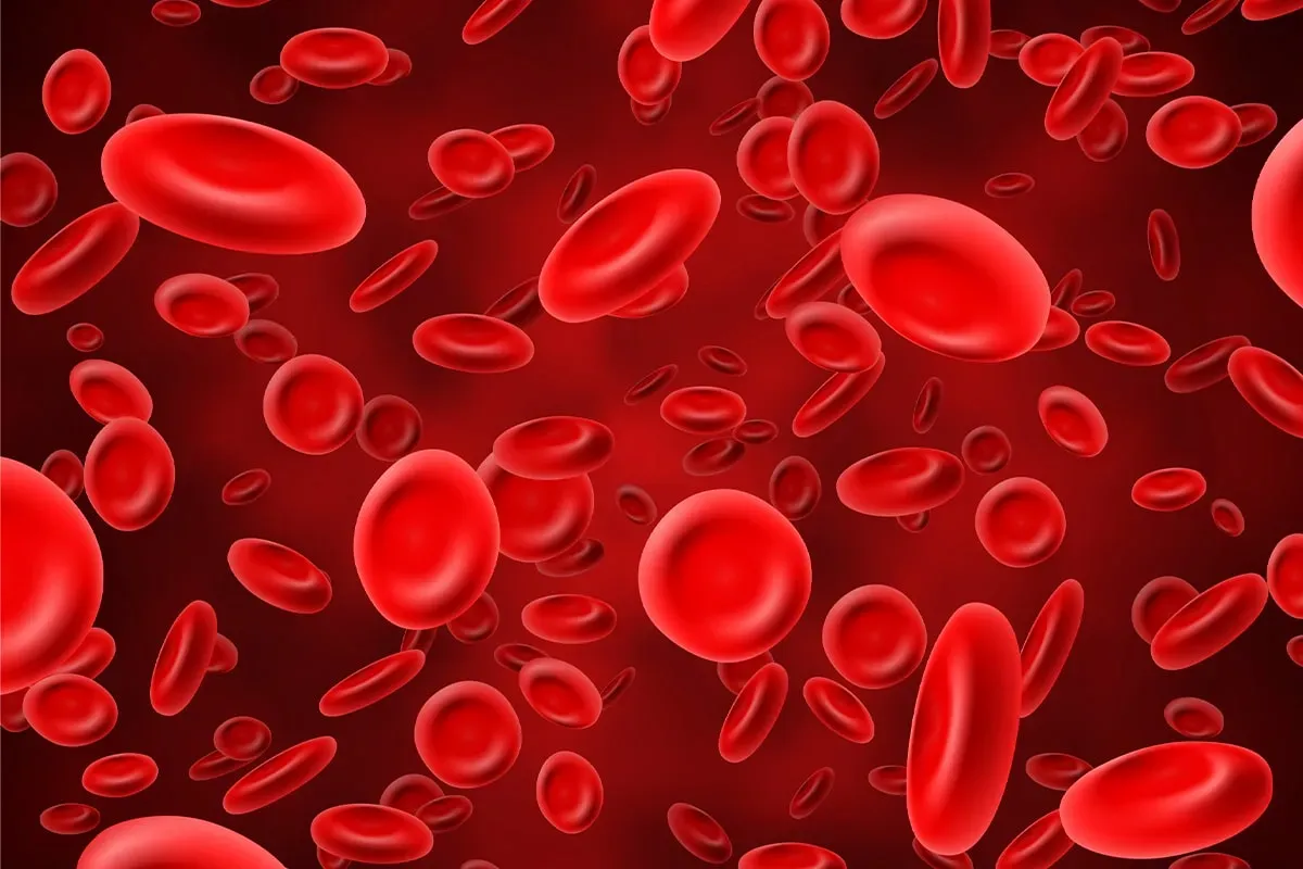 Аутологичная трансплантация