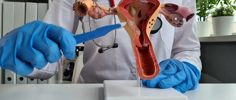 Что такое гинекология? Полное руководство по женскому здоровью