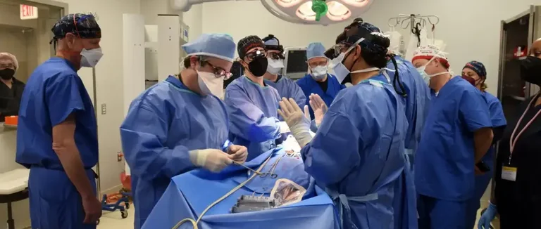 сердечный клапан