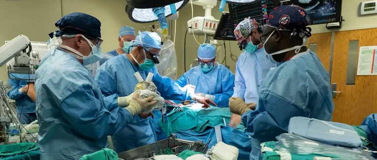 Сердечный клапан