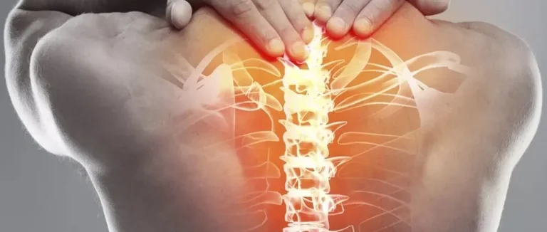 Позвоночник