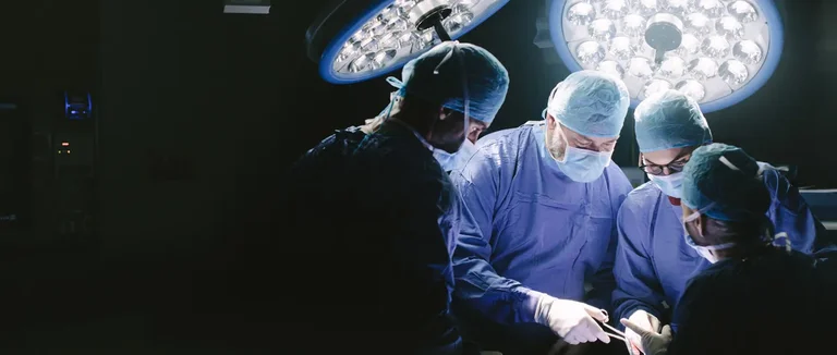 Позвоночник