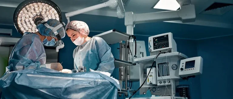 Позвоночник