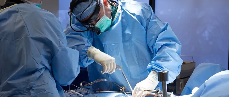 позвоночник