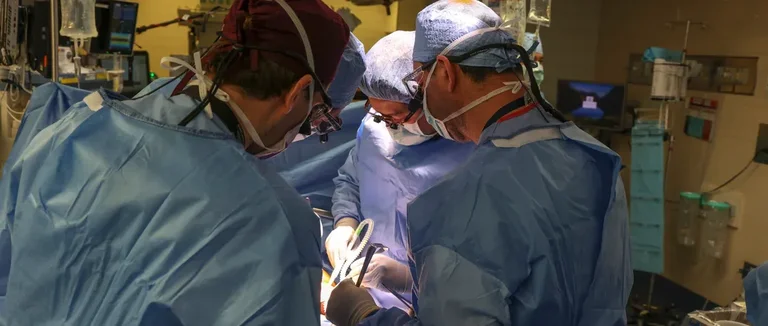 Дискэктомия