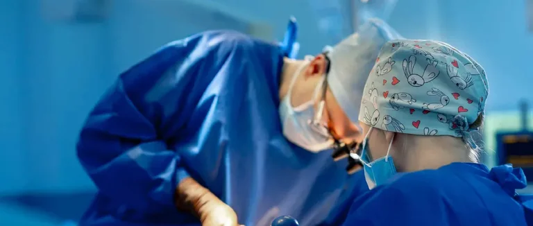 позвоночник