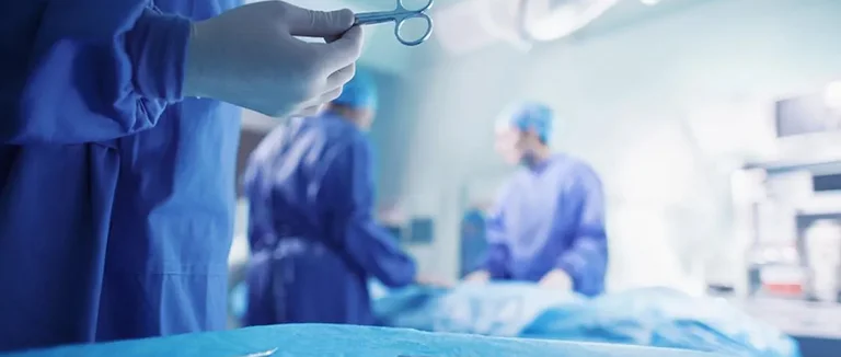 Позвоночник