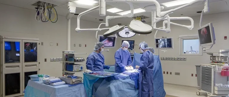 Позвоночник