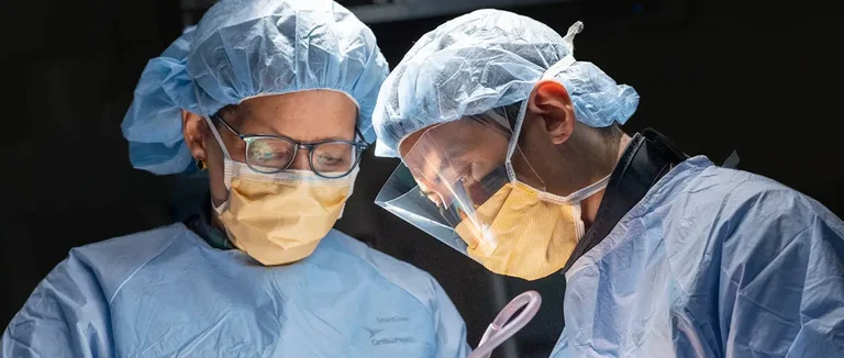 Позвоночник