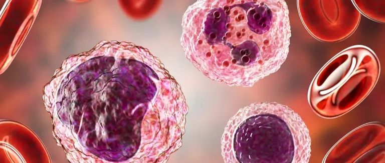 Заболевания крови