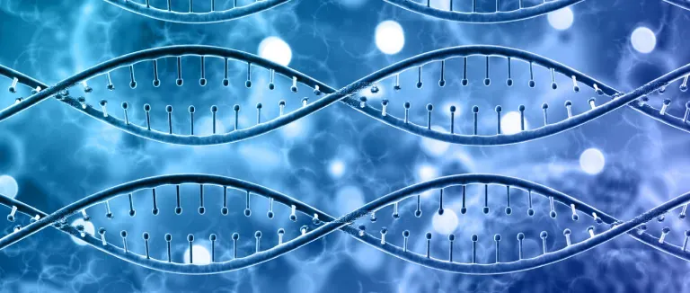 Regenerative Medicine and Stem Cell Center