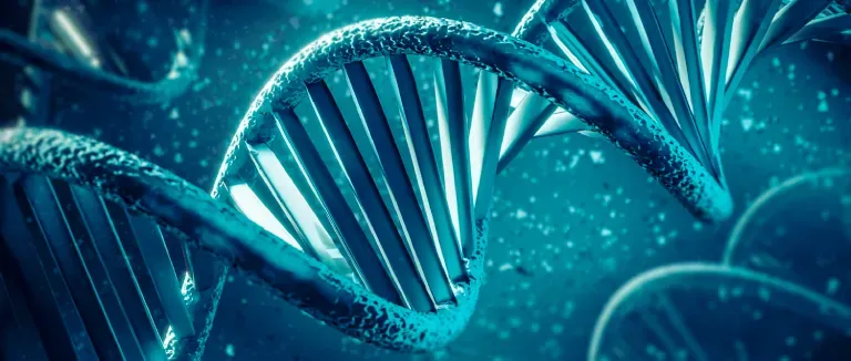 CARDIOVASCULAR DISEASES