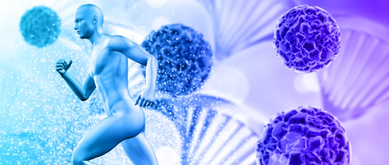 Testosteron Nedir?