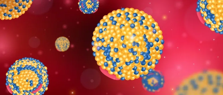 Trigliserid Yüksekliği