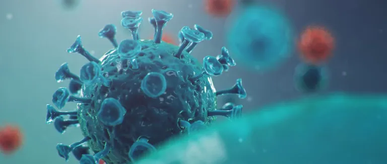 X Hastalığı Nedir?