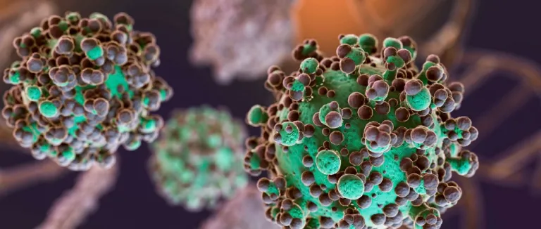 X Hastalığı Belirtileri