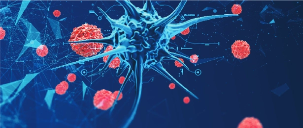 Enfeksiyon Hastalıkları