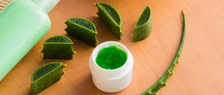 Aloe Vera Faydaları