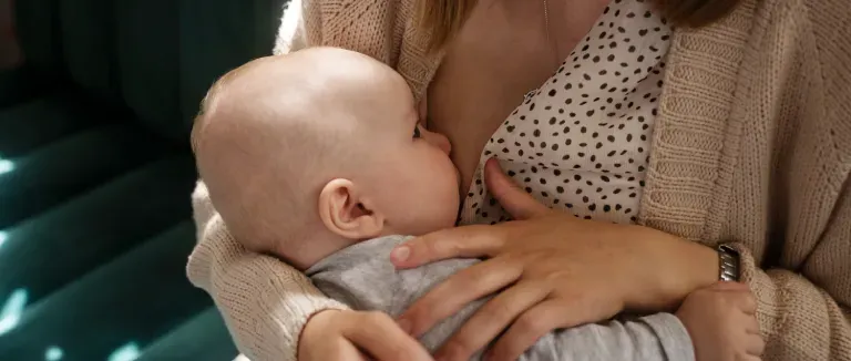 Anne Sütünü arttıran besinler nelerdir?