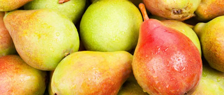 Armut Faydaları Nelerdir? Hangi Vitaminleri İçerir?