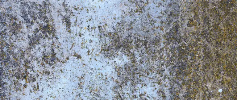 Asbeste Yakın Olan Kanserden Uzak Duramıyor 